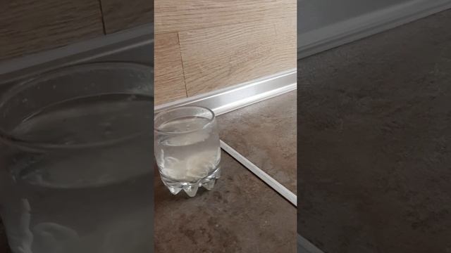 Проверка сметаны на качество ЯГОТИНСКАЯ смотреть онлайн