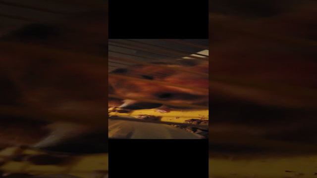 У меня новый хомяк 🐹 'СЫРОК' смотреть онлайн