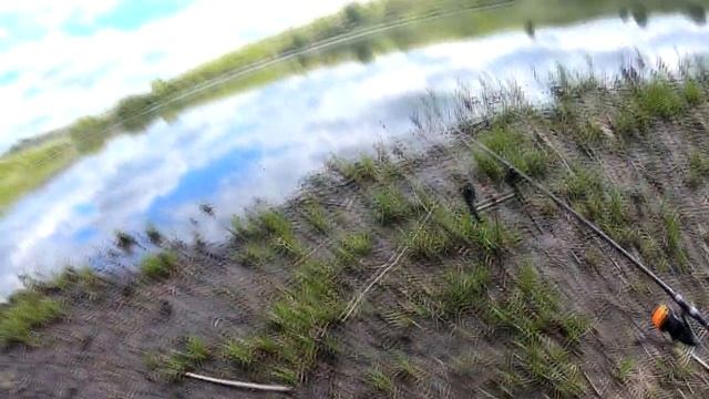 #Ritterfishing #Карпфишинг #Карп Карповая рыбалка на сломе погоды. Уйти от нуля! смотреть онлайн