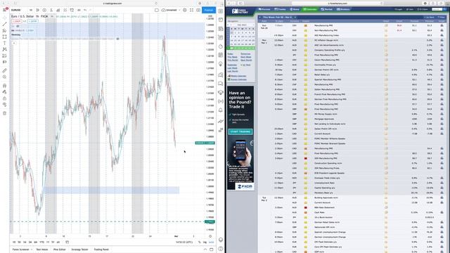 HOW TO TRADE THE FOREX CALENDAR- WEEK 9 смотреть онлайн