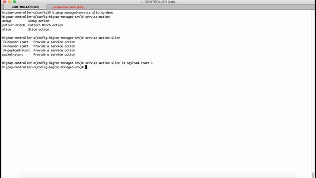 Big Monitoring Fabric - Packet Slicing with Service Node смотреть онлайн