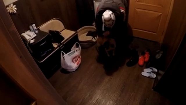 ПОДАРИЛ СОБАКУ КОГО АРЧИ ПОЛЮБИЛ БОЛЬШЕ ??? смотреть онлайн