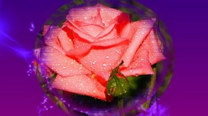 Футаж. Цветочный фон 151