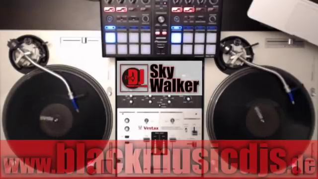 DJ SkyWalker #22 | RnB Hip Hop Mix | Chris Brown & Friends | Black Music Club Party смотреть онлайн