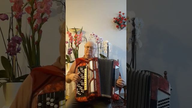 "Лебеди летят",лирическая, немного грустная мелодия. смотреть онлайн