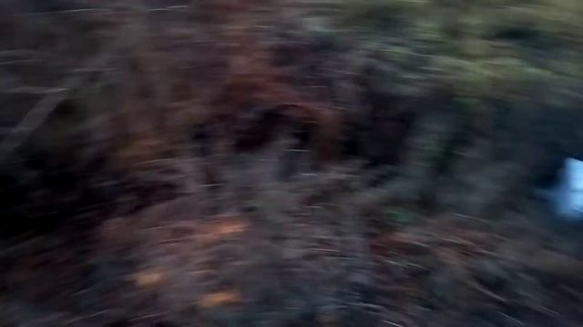 ПОДНЯЛ УРОВЕНЬ ВОДЫ