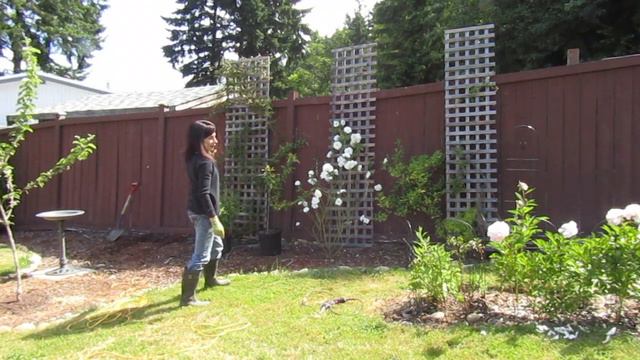 Lattice Garden Bed ideas (making changes and adding more plants) смотреть онлайн