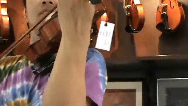 Gliga Gama Professional No.4