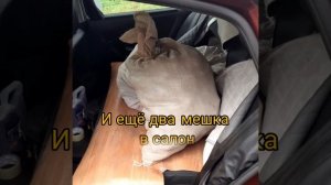 NISSAN ALMERA G15.  Про Багажник.