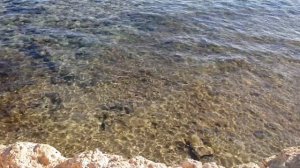 Egypt Sharm el-Sheikh Grand Oasis Hotel Египет Шарм-эль-Шейх Отель Гранд Оазис