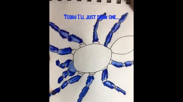 Tarantula Drawing смотреть онлайн