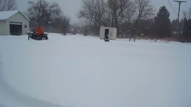 Snow Dog Days смотреть онлайн