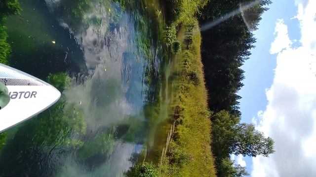 От озера Ключик к озеру Тосканка, холодная прозрачная речка (около Ворсмы, Нижегородской области). смотреть онлайн