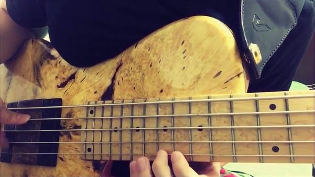 Bass finger solo 'willows' bass made in korea смотреть онлайн