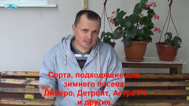ОЗИМЫЙ ПОСЕВ-ЧТО ПОСЕЯТЬ В ЗИМУ? смотреть онлайн