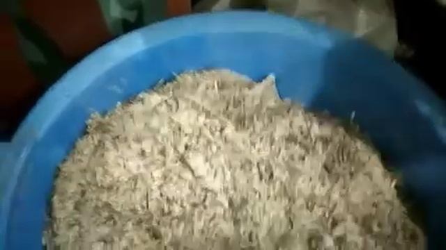 Комбикорм для кур-несушек, рецепт для гранулятора. смотреть онлайн