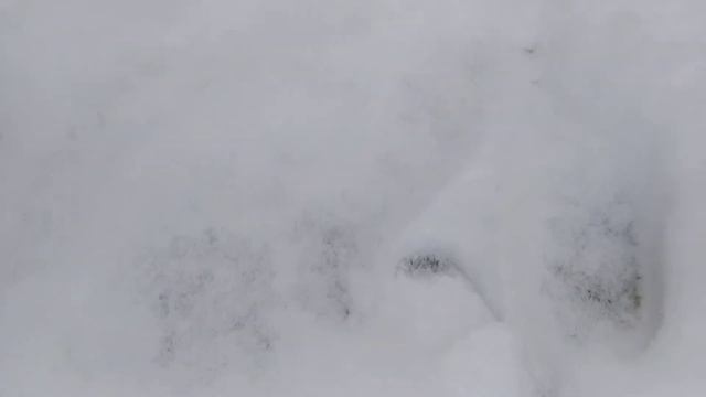 Николаев засыпало снегом. смотреть онлайн