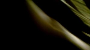 адсорбер passat b5