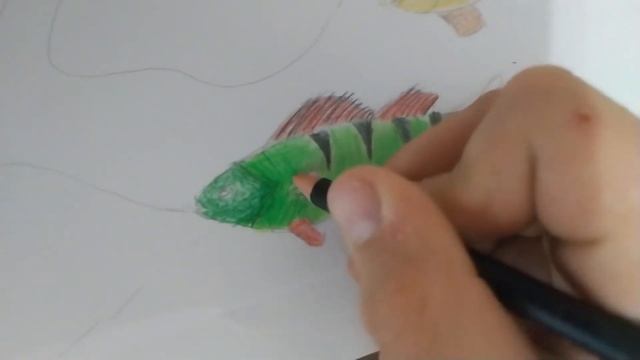 #drawing #какнарисовать #рисуем #рисование #рисунокдлядетей Как нарисовать окуня рисуем рыбу смотреть онлайн