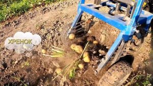 КОПАЕМ КАРТОФЕЛЬ картофелекопалкой с ХВОСТОМ и УВЕЛИЧЕННЫМ ШКИВОМ. МОТОБЛОК картофель КОПАЕТ САМ