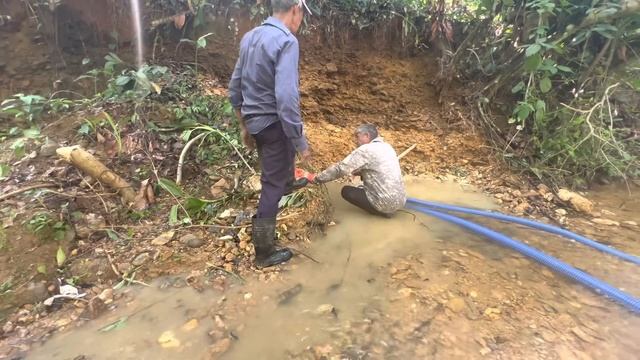 Доминикана / Не отступать и не сдаваться / Dominican Channel