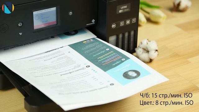 Обзор МФУ Epson L6190 с Дариной смотреть онлайн