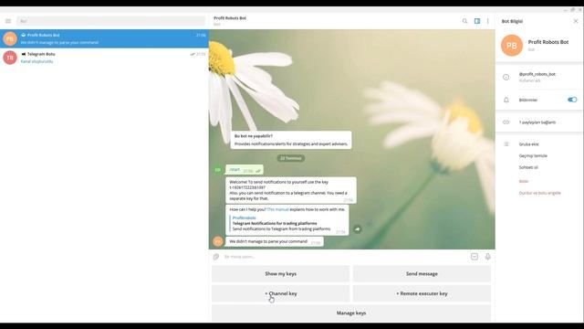 Telegram Botu Oluşturmak (Detaylı Anlatım) - (Tradingview Bot) смотреть онлайн