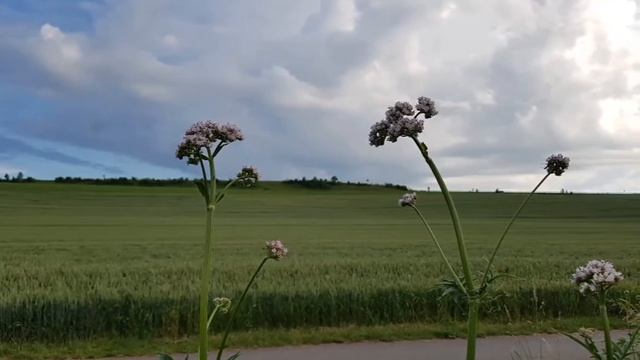 [069]? Что такое молитва смотреть онлайн
