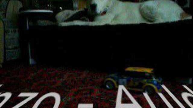 MINI COOPER S - MINI Challenge RC Car Auldey - Rinzo Радиоуправляемая машина