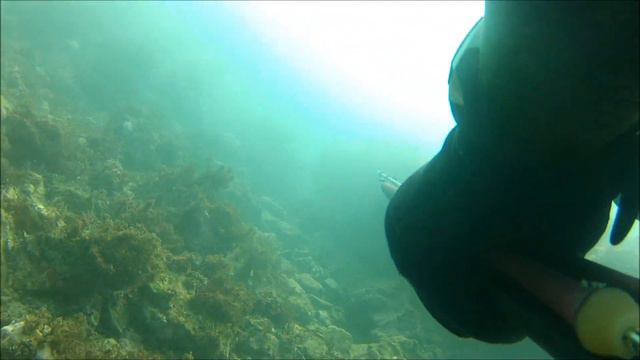 PESCA APNEA ANZIO LECCIA SFUGGITA смотреть онлайн