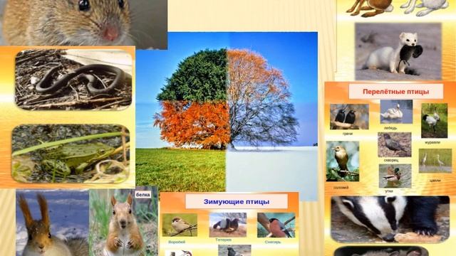 4 класс Естествознание Урок 9 Что такое сезонные изменения смотреть онлайн