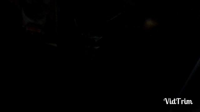 VLOG:Купили сирийских хомяков. смотреть онлайн