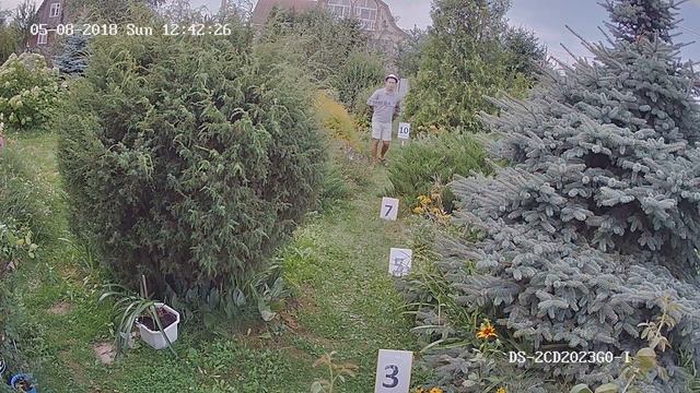 Hikvision DS-2CD2023G0-I 4 мм Пример записи с Ip камеры