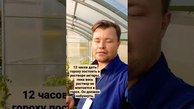 САМОЕ ЛУЧШЕЕ И БЫСТРОЕ #СРЕДСТВО ИЗБАВЛЕНИЯ ОТ #МЕДВЕДКИ И ПОЧВЕННЫХ ВРЕДИТЕЛЕЙ. смотреть онлайн