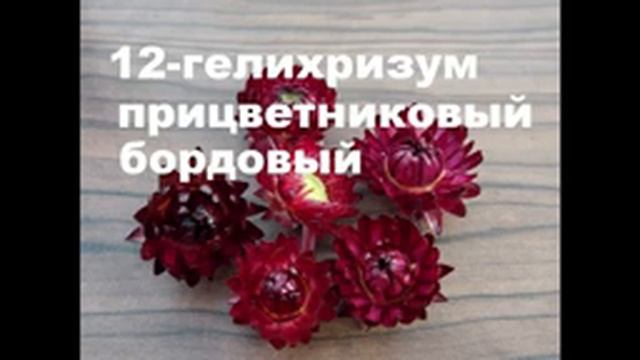ЗАКАЗЫВАЙТЕ ! Семена сухоцветов урожая 2020года. смотреть онлайн