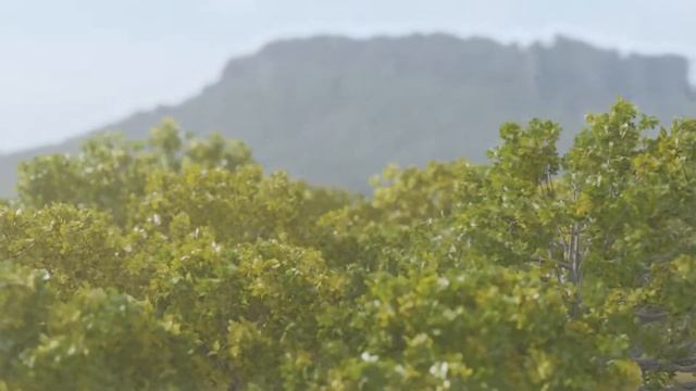 Trees with procedural wind animation in Blender - Geometry Nodes смотреть онлайн