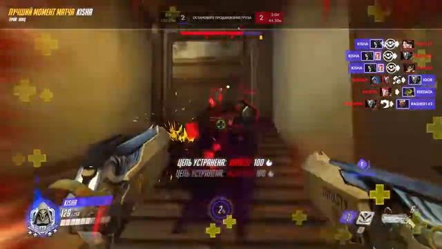 Дай дай дай или крик чайки!