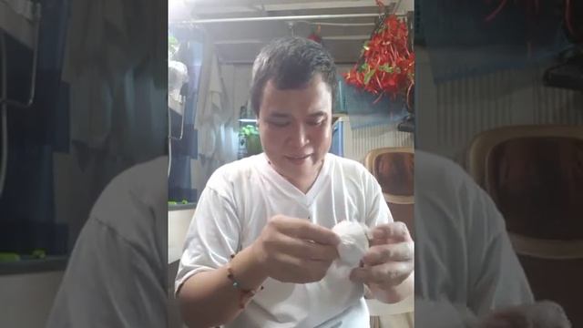 Renches Garden Palace, Super Warty Variegated Faucaria, Variegated Haworthia By Clark Ting