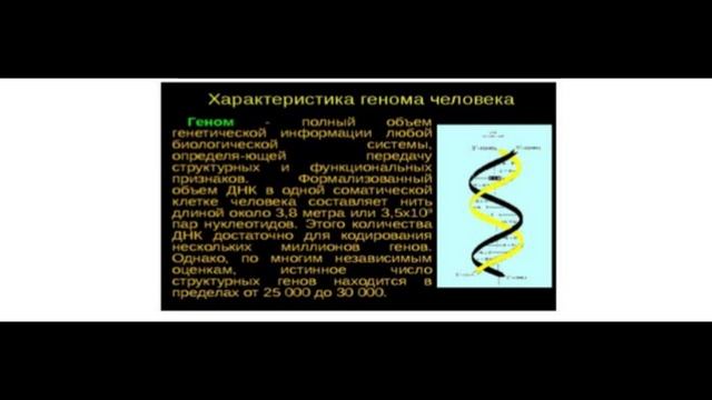 Сказка про мальчика. смотреть онлайн