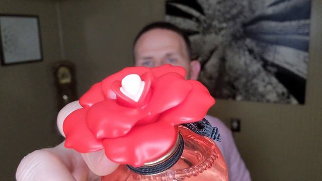 Dolce Rose By Dolce & Gabbana Presentation & Review