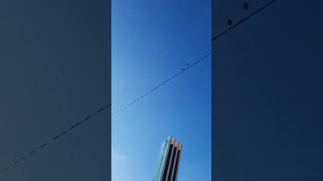 голуби.Сергея.с.Елань-Колено.Воронежской.обл. смотреть онлайн