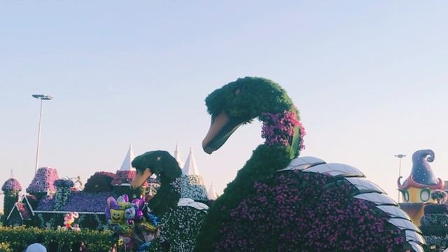 Чудо-сад в пустыне. Dubai Miracle Garden. ОАЭ смотреть онлайн