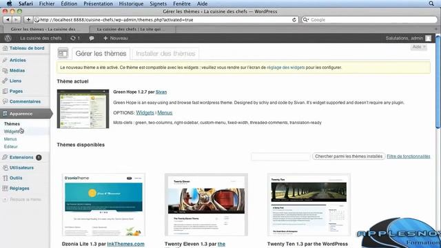 wordpress formation Chapitre 5 : 5.6 - Paramétrer les options des thèmes смотреть онлайн