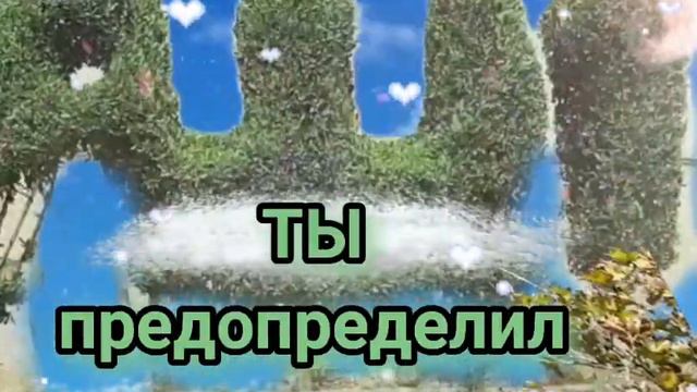 С добрым утром!Желаю здоровья! Духовного, физического, религиозного.