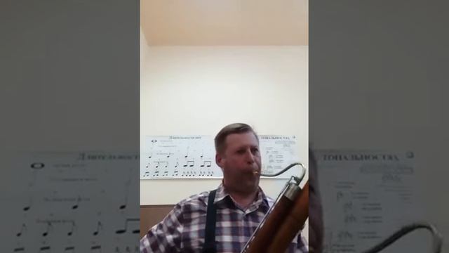 П. Чайковский Симфония N°5 Вальс Allegro moderato смотреть онлайн