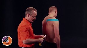 Инструкция правильного нанесения Кинезио тейпа наплечевой сустав.