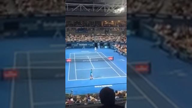 2016 01 08 13 12 Tennis. Final stages of Federer v Dimitrov at the Brisbaneinternational смотреть онлайн