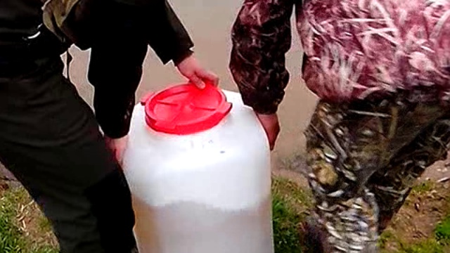 запуск щуки в водоем