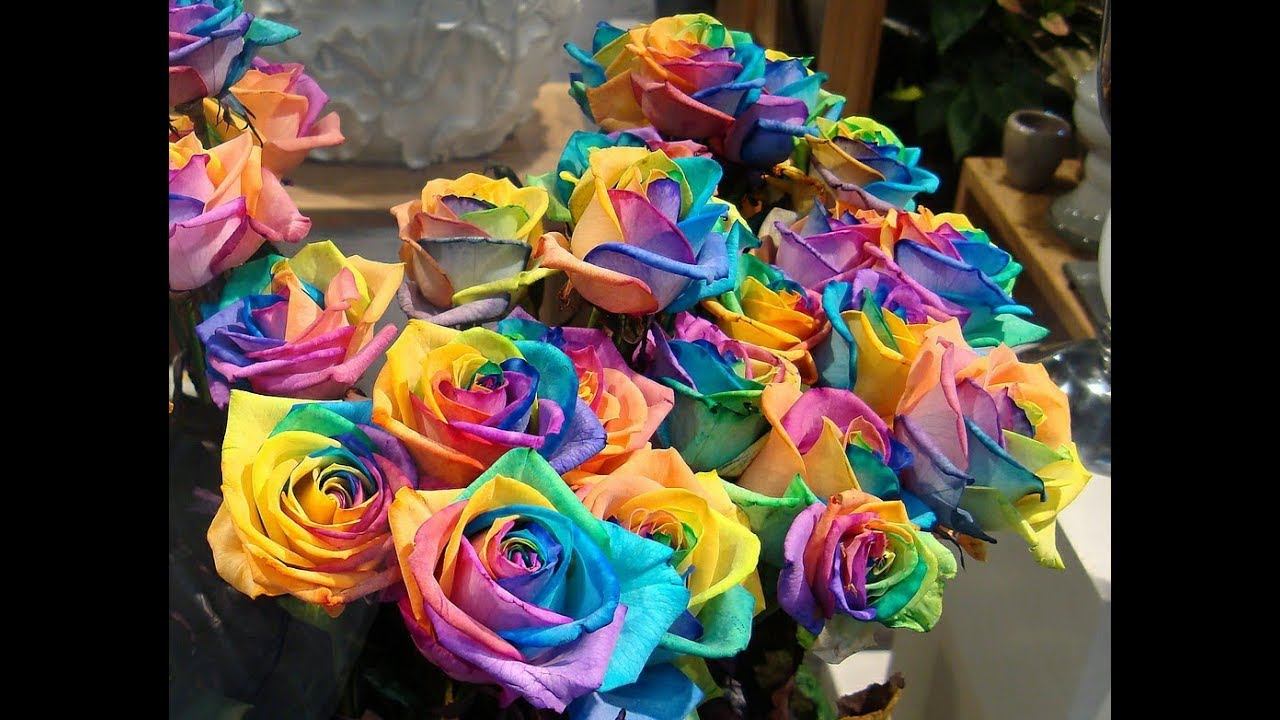 Как покрасить живые цветы смотреть онлайн