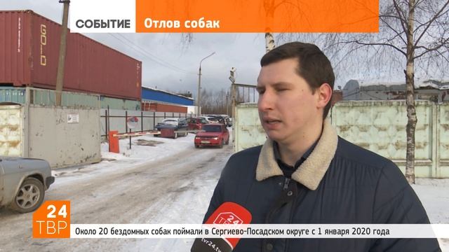 Куда обращаться, если беспокоят бродячие собаки | Новости | Сергиево-Посадский округ смотреть онлайн
